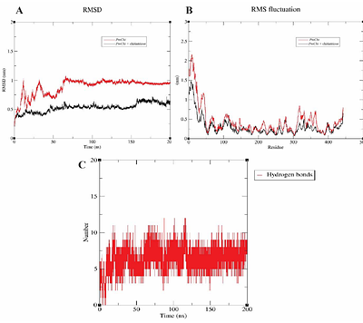 Structural and dynamic study of fungal cell wall degrading fungal chitinase and its interaction with chitooligosaccharide