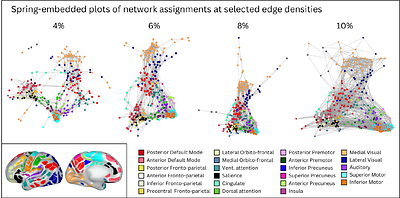 Functional parcellation of the neonatal brain