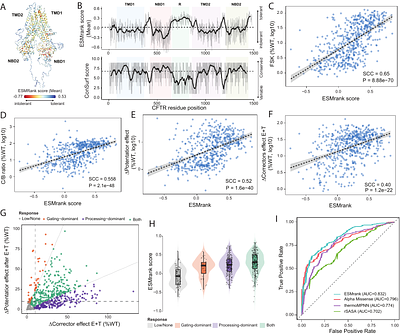 ESMRank reveals a transferable axis of protein mutational constraint from overlapping variant effect assays