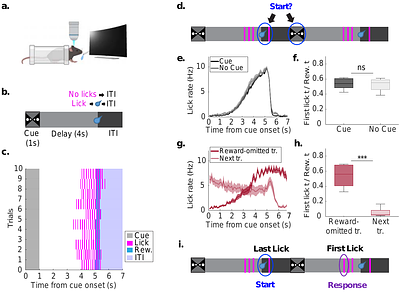 A scalable hippocampal code for flexible interval timing through persistent activity