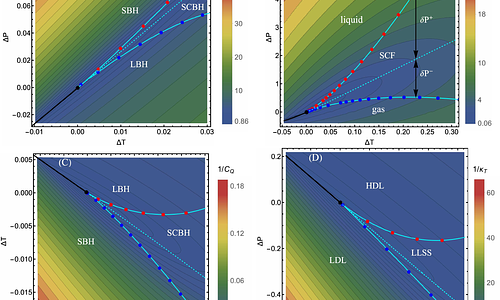 Analogous supercritical crossovers in black holes and water