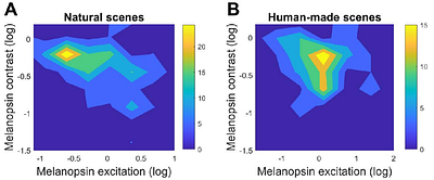 Melanopsin-mediated signals in natural and human-made environments