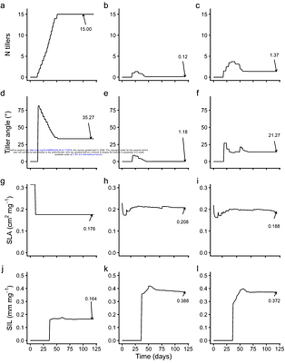 Quantifying the effect of cereal plant trait plasticity on weed suppression in intercrops