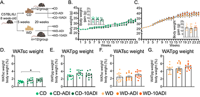 Diet modulates metabolic and hepatic responses to chronic pesticide mixture exposure in mice