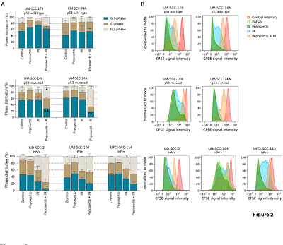HPV and p53 status as precision determinants of head and neck cancer response to DNA-PKcs inhibition in combination with irradiation