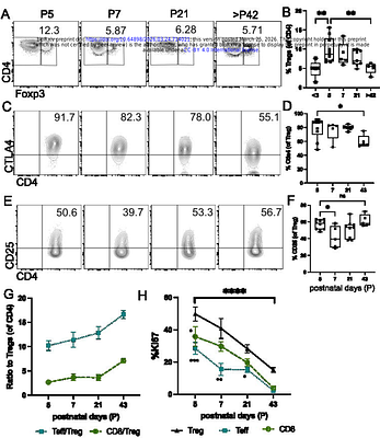 Neonatal regulatory T cells promote alveologenesis by restraining neutrophil-mediated inflammation