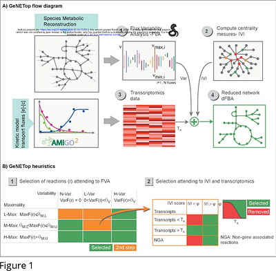 GeNETop: Context-Specific Genome-Scale Constrained Models Using Network Topology, Flux Variability, and Transcriptomics