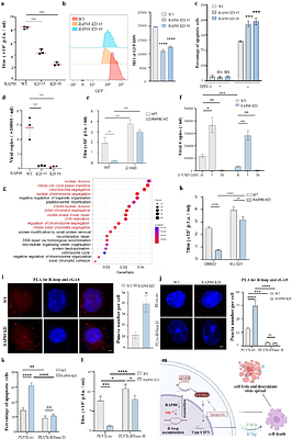 HSV-1 orchestrates host RAP80 ubiquitination by ICP0 and UL36USP to promote viral survival