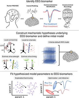 Uncovering putative neural mechanisms of neurotherapeutic impacts on EEG using the Human Neocortical Neurosolver