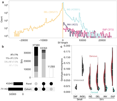 Structural variants are enriched for molecular QTL in a cattle long read cohort