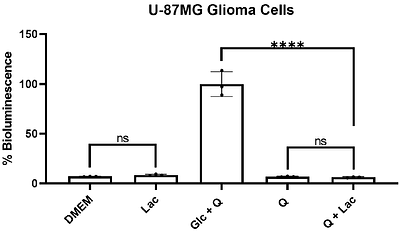 Lactate cannot replace glucose for maintaining the viability of mouse and human glioma cells