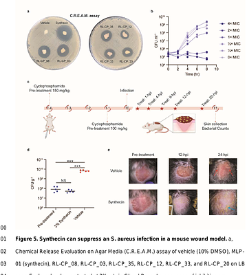 SyntheMol-RL: a flexible reinforcement learning framework for designing novel and synthesizable antibiotics