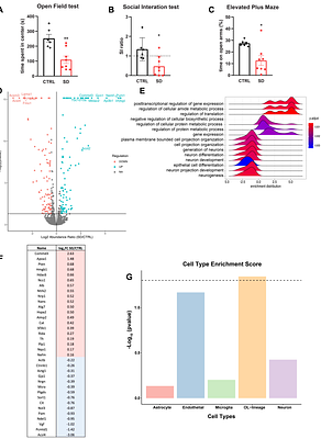Proteomic evidence of astrocytic dysfunction in the olfactory bulb of depressed suicides