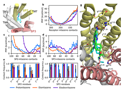 Slow Dissociation of Nitazenes from the μ-Opioid Receptor Underlies the Challenge of Overdose Reversal