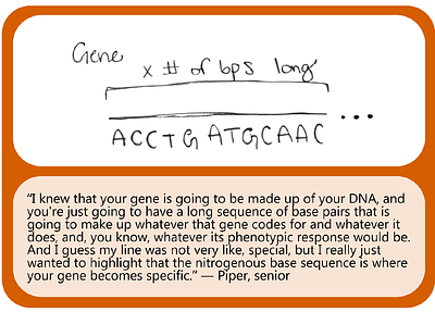 Sketchy understandings: Drawings reveal where students may need additional support to understand scale and abstraction in common representations of DNA