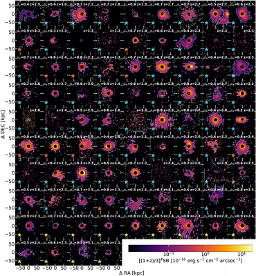 Constraining the nature of active galactic nuclei through circumgalactic Lya emission at z=2-3