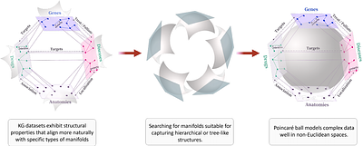 Riemann-GNN: Causal Reasoning on Hyperbolic Riemannian Manifolds for Interpretable Drug-Disease Prediction