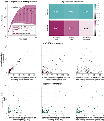 Multiscale Probabilistic Modeling: A Bayesian Approach to Augment Mechanistic Models of Cell Signaling with Machine-Learning Predictions of Binding Affinity