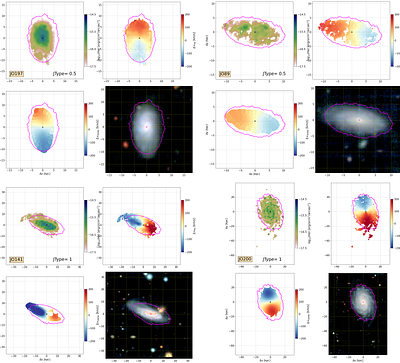 The MUSE view of ram pressure stripped galaxies in clusters: the GASP
  sample