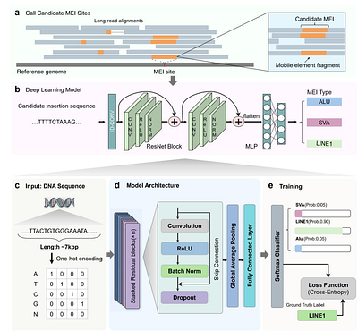 MEIsensor: a deep-learning method for mobile element insertion discovery