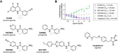 Structural basis of PPARγ-mediated transcriptional repression by the covalent inverse agonist FX-909