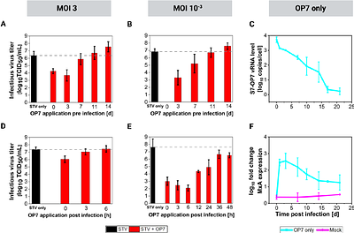 Prophylactic and therapeutic antiviral effects of the influenza A defective interfering particle OP7 in human lung epithelial cells in vitro