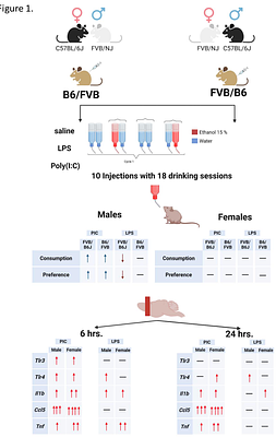 Effects of innate immune activation by Toll-like receptor agonists on ethanol consumption and preference in FVB/NJ x C57BL/6J hybrid mice.