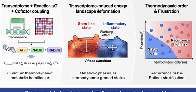 A Spin-Glass Metabolic Hamiltonian optimized by Quantum Annealing Reveals Thermodynamic Phases of Cancer Metabolism