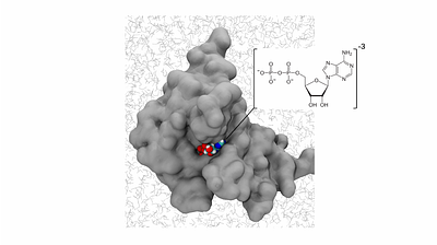 Lessons Learned from a Ligand-Unbinding Stress Test for Weighted Ensemble Simulations