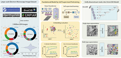 OmniEM: Unifying the EM Multiverse through a Large-scale Foundation Model