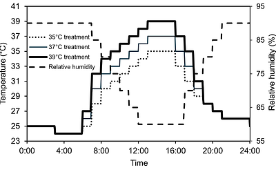 Sowing date effects on anther dehiscence, pollen germination on the stigma, and fertility under heat in Japanese rice