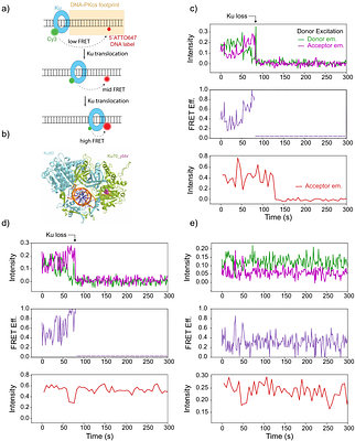 The NHEJ machinery is translocated off DNA ends toenable resection