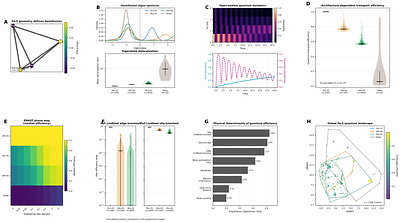 Geometry derived Hamiltonian organization distinguishes recurrent biological Fe S architectures
