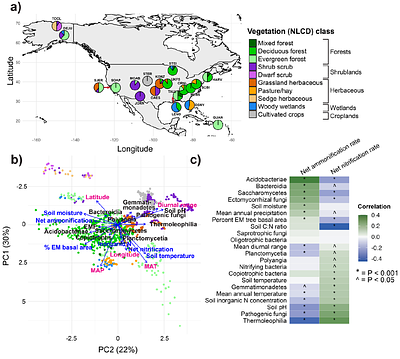 Soil nitrogen cycling rates are linked to microbial functional and taxonomic groups across the United States