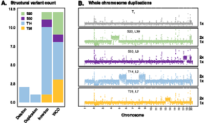 Plasticity of the mutation rate and spectrum in eukaryotic marine phytoplankton