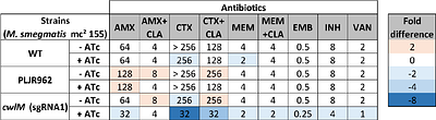 Effects of CwlM, a peptidoglycan synthesis regulator, on beta-lactam resistance and host-pathogen interactions