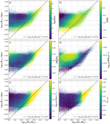 Galactic Morpholography: Linking present-day galaxy compactness to assembly history and relic formation in the COLIBRE simulations