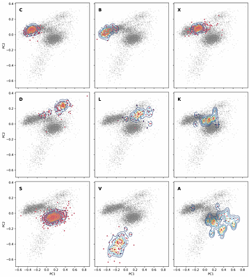 Gaia DR3 supervised classification of asteroid reflectance spectra