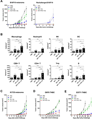 The defined TLR3 agonist, Nexavant, exhibits anti-cancer efficacy and potentiates anti-PD-1 antibody therapy by enhancing immune cell infiltration.