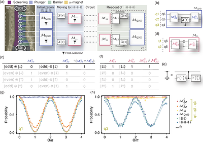Running a six-qubit quantum circuit on a silicon spin qubit array