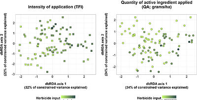 Off target: herbicides applied in cereal fields exclude non-competitive species, while replacing them by competitive weeds.