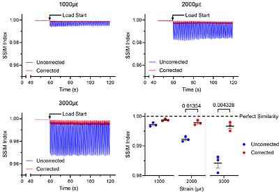 Real-Time Axial Motion Compensation for Intravital Two-Photon Imaging of Mechanically Loaded Bone