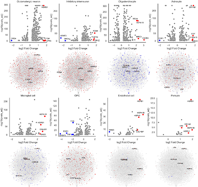 Decoding cell-type-specific alterations in Alzheimer's disease through scRNA-seq and network analysis