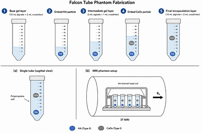 Quantitative Susceptibility Mapping for Differentiating Hydroxyapatite and Calcium Oxalate Breast Calcifications at 3T: A Phantom Study