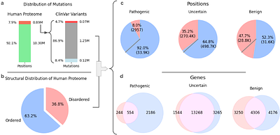 Pathogenic Missense Mutations in Intrinsically Disordered Regions Reveal Functional and Clinical Signals