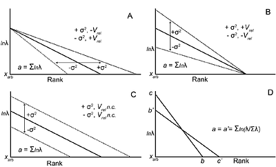 On the characterization and interpretation of phenotypic ellipse geometry, with examples from Canis and sigmodontine rodents.