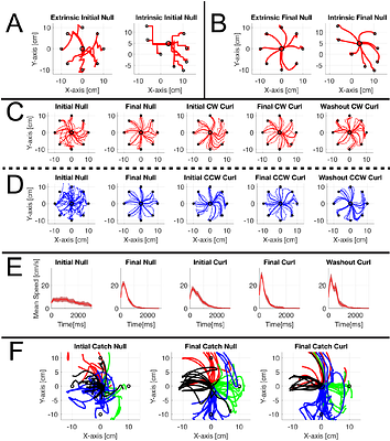 Haptic Force Feedback Enhances de Novo Learning of Arm Kinematics and Dynamics