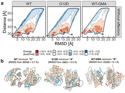 Mapping the free energy landscape of K-Ras4B dimerization