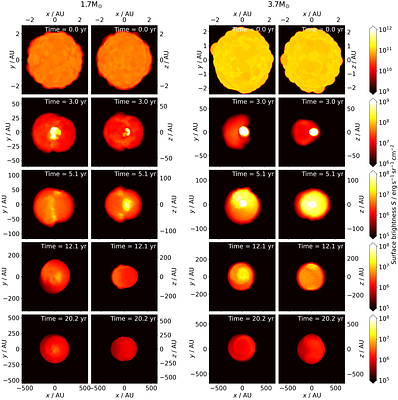 Dust Formation in Common Envelope Binary Interactions -- III. Lightcurves