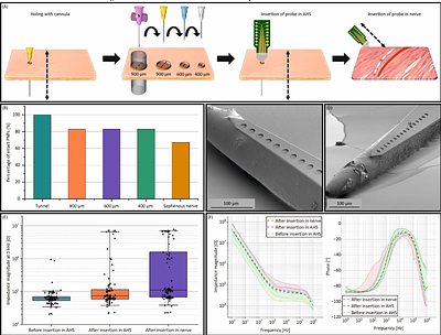 A mechanically stable neural probe for percutaneous high-resolution, multichannel recordings in peripheral nerves